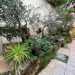 Giulia ci conduce infatti in una rigogliosa oasi arricchita da panchine, alberi da frutto, bonsai...